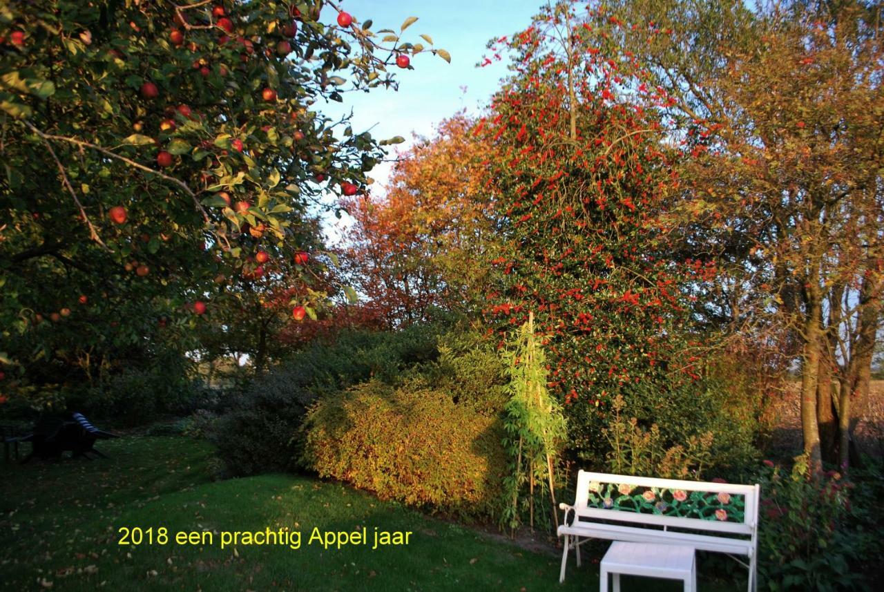 De Riekhoff Villa Een-West Exterior foto